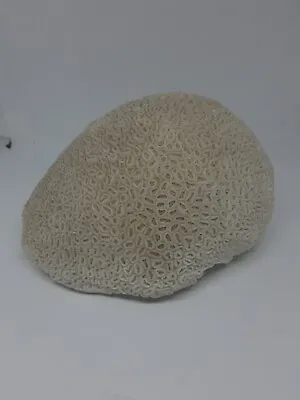 $48.99 • Buy Vintage Authentic Brain Ocean Coral Aquarium Decor