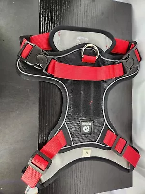 Duomm Red Padded Mesh Dog Harness With Leash Gray Padded Medium • $10