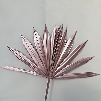 1 Metallic Rose Dried Sun Fan Palm Spear CAKE TOPPER Dried Palm Flowers • £9.75