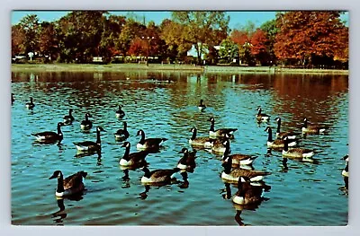 $1.29 • Buy Vintage Wild Duck Pond Saddle River County Park Ridgewood, Nj Postcard Bw