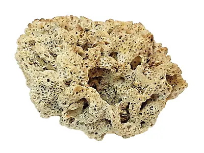 Natural Ocean Sea Coral Reef Chunk Off- White Specimen 1½ Lbs. Aprox. 7x5x3  • $15