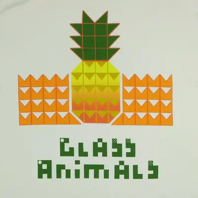 Glass Animals SUNSET PINEAPPLE White Men All Size Shirt • $18.99