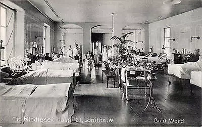 Marylebone. The Middlesex Hospital. Bird Ward By Photographic Tourists Assoc. • £13.50