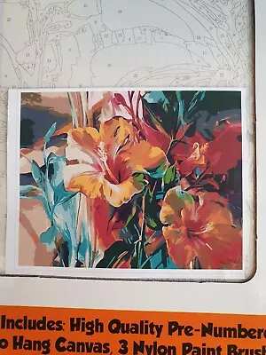 Paint By Numbers - DIY - Framed Canvas - Brushes & Paints - NEW - F#14 - Flowers • $29.97