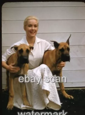 Actress Vera Miles  And Her Dogs Candid   8x10 Photo D-7 • $14.99