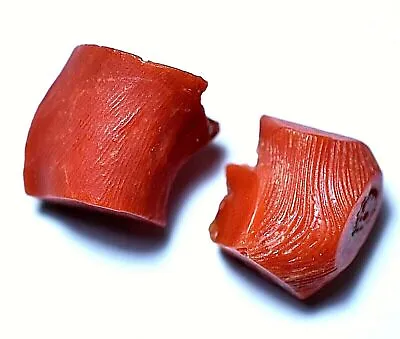 $33.59 • Buy Untreated 26.40 Ct Natural Red Coral 2 Pcs Facet Certified Specimen Rough Gems