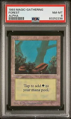 Forest - Alpha - MTG - NM To Mint - PSA 8. More MTG In My Store.  • $59.99