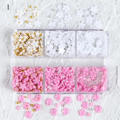 6 Grids Resin Flowers Acrylic Petals Nail Rhinestone Kit For Manicure Nail Art • $3.89