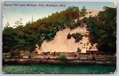 Muskegon MI~Lake Michigan Park~Pigeon Hill~c1910 Postcard • $8.99