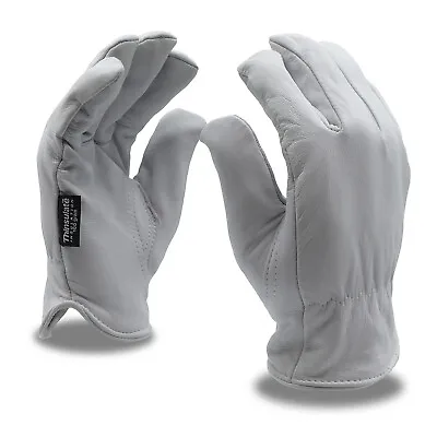 Cordova 8550 Premium Grain Goatskin Gloves Thinsulate Lined (M-2XL) • $14.95