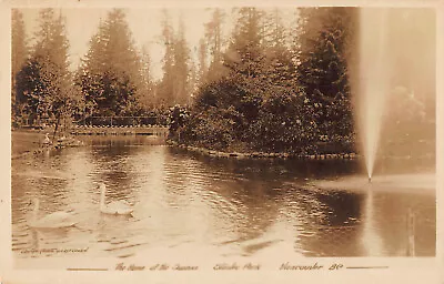 Vintage RPPC Home Of The Swans Stanley Park Vancouver Canada Bird Photo Postcard • $7.99