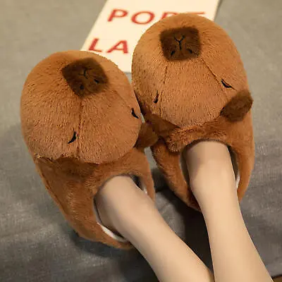 Animal Slippers Capybara Furry Non Slip Plush Slippers  • $16.06
