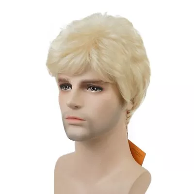 Mens Natural Short Straight Wigs Real Male Full Hair Wig Party Cosplay Toupee • $16.78