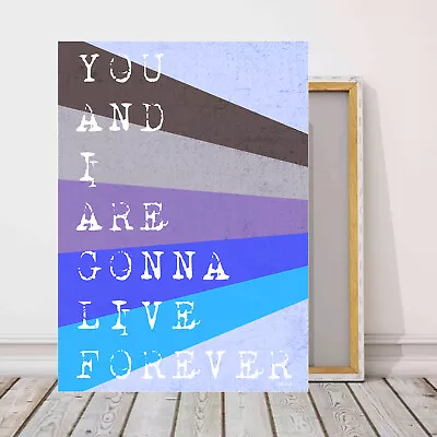 Canvas Pop Art Picture Oasis Live Forever Song Lyrics Wall Art Great Gifts! • £24.99