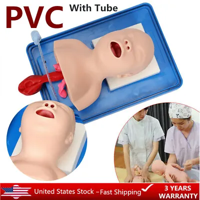 $79.80 • Buy Lab Airway Management Trainer Intubation Manikin Study Training Baby PVC Model