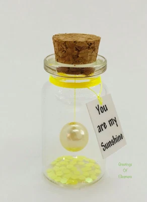 £3.99 • Buy Miniature Gift YOU ARE MY SUNSHINE Bottle Keepsake Any Occasion Gift