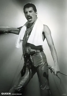 $9.99 • Buy Queen: Freddie Mercury With Towel 23×33 Inch Music Concert Poster