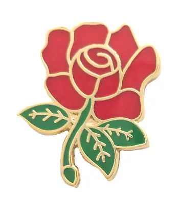 Labour Party Red Rose Pin Badge • £6.25