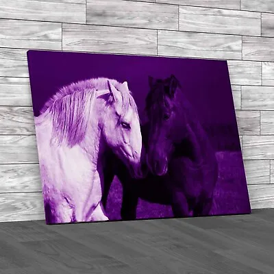 A Pair Of Horses Showing Love Purple Canvas Print Large Picture Wall Art • £14.95