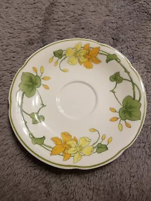 VILLEROY & BOCH  GERANIUM  Pat#1748 SAUCER (Non Ribbed Rim) MADE IN GERMANY • $5