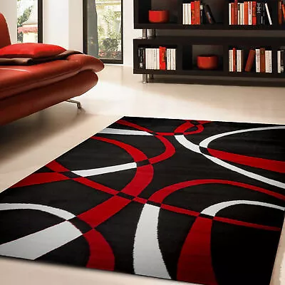 Modern  Contemporary Area Rug For Living Room With Multiple Color/size Options • $129.99