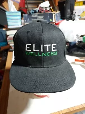 R-m Sports Snapback Hat Elite Wellness • $11