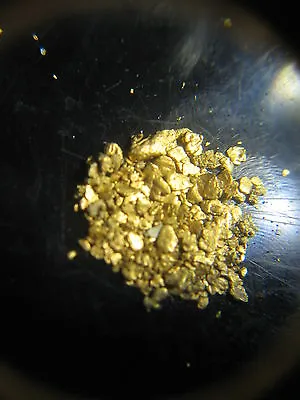 $5.50 • Buy 1 Lb Gold Nugget Rich %100 Unsearched Pay Dirt Fast Shipping