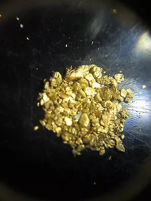 Montana Gold Rush Nuggets 1 Gram 6-8 Mesh Fines • $90.12