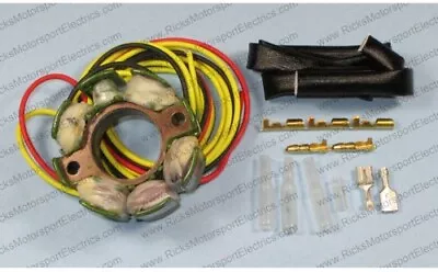 Ricks Motorsport Electric Replacement Stator (HOT) 21-0099H OEM Replacement • $128.95