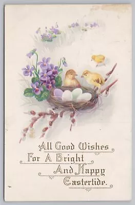Stecher~5 B~Good Wishes~Bright & Happy Eastertide~Birds Nest~Violets~PM 1923 PC • $2.80