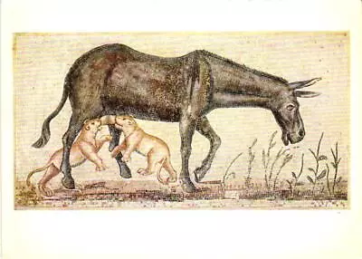 Donkey Nursing Lion Cubs Roman Mosaic Museum Of Fine Arts Boston MA Postcard • $1.79