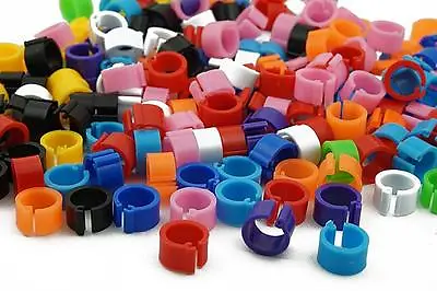 Bird Rings Colorful Leg Bands For Pigeon Parrot Finch Canary Hatch Poultry Rings • £3.59