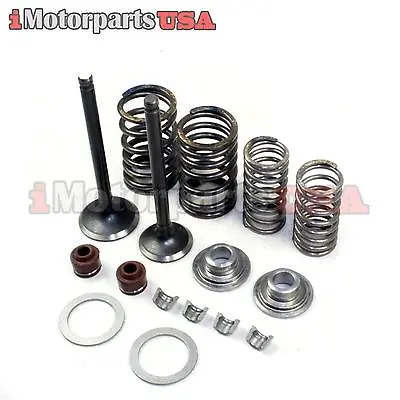 Chinese Zongshen Cg150 162fmj Engine Valves Rebuild Kit Roketa Baja Ssr Sdg Bike • $12.95