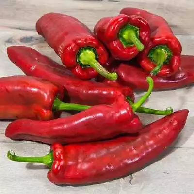 ORGANIC Marconi Sweet Pepper Seeds GARDEN 2024 • $2.99