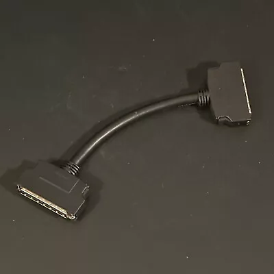 $10 • Buy Amphenol SCSI2 HD50M-HD50M Six Inch Cable