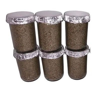 12 BRF Brown Rice Flour/Verm Mushroom Substrate Cake. Half Pint Jars (Organic) • $79
