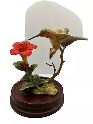 VTG Maruri RUFOUS HUMMINGBIRD W/ Trumpet Creeper Porcelain Bird Figurine - 1989 • $95