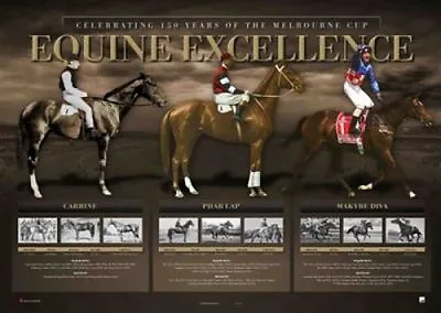 Equine Excellence Carbine Phar Lap Makybe Diva Limited Horse Racing Print Winx • $59.95