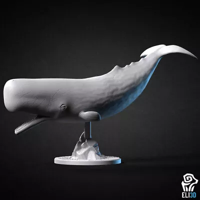 Spem Whale 3D Printed Ocean Animal Roleplaying Miniature Custom • $6.99