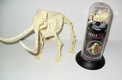 Brainstem Skele-Tube Whoolly Mammoth Miniature Dinosaur Skeleton Model • $17.99