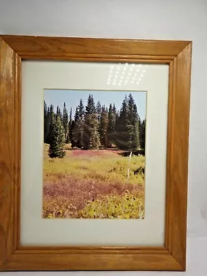 Steamboat Springs Colorado Landscape Trees Framed Photo Print Buffalo Pass  • $14.56