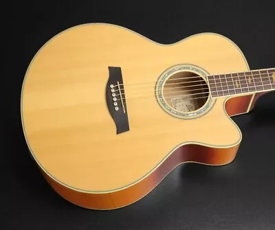 Ibanez AEL40SE-RLV • $611.40