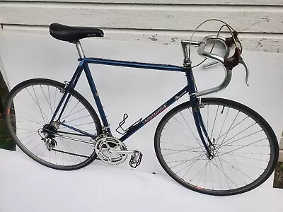 Vintage 1983 Schwinn Paramount Road Bike Columbus Waterford Made Campagnolo • $1499.99