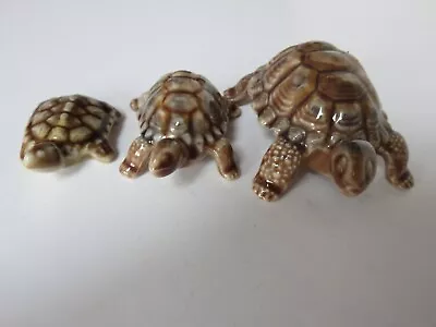 Wade Porcelain Tortoises - Three • £5