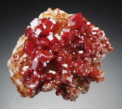 VANADINITE  -  Lustrous BLOOD-RED Crystals - MOROCCO /bl663 • $29.90