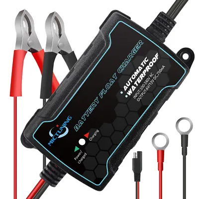 Smart Battery Charger 750mA Trickle Charge Maintainer For Motorcycle Car SUV UTV • $18.39