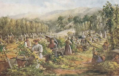 L England Kent Old Postcard English Hop Picking People • £1.79