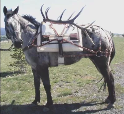 Teton Decker Pack Saddle • $715