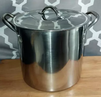8 Qt Stainless Steel Pot With Lid • $20