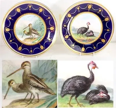 £299.99 • Buy Bd Pair Antique Minton Ornithological Cabient Plates Guinea Fowl Snipe